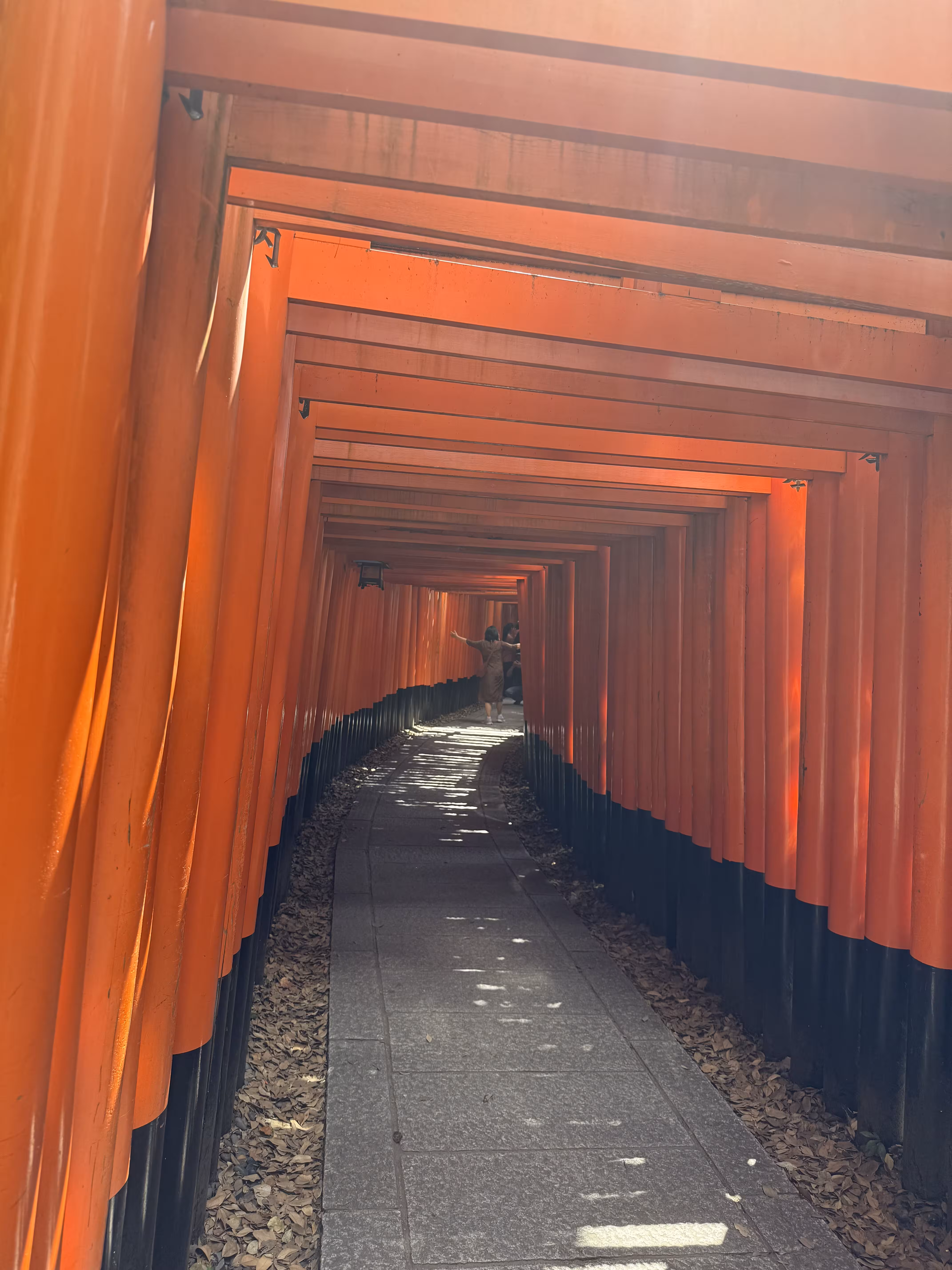 寺庙1 寺庙1