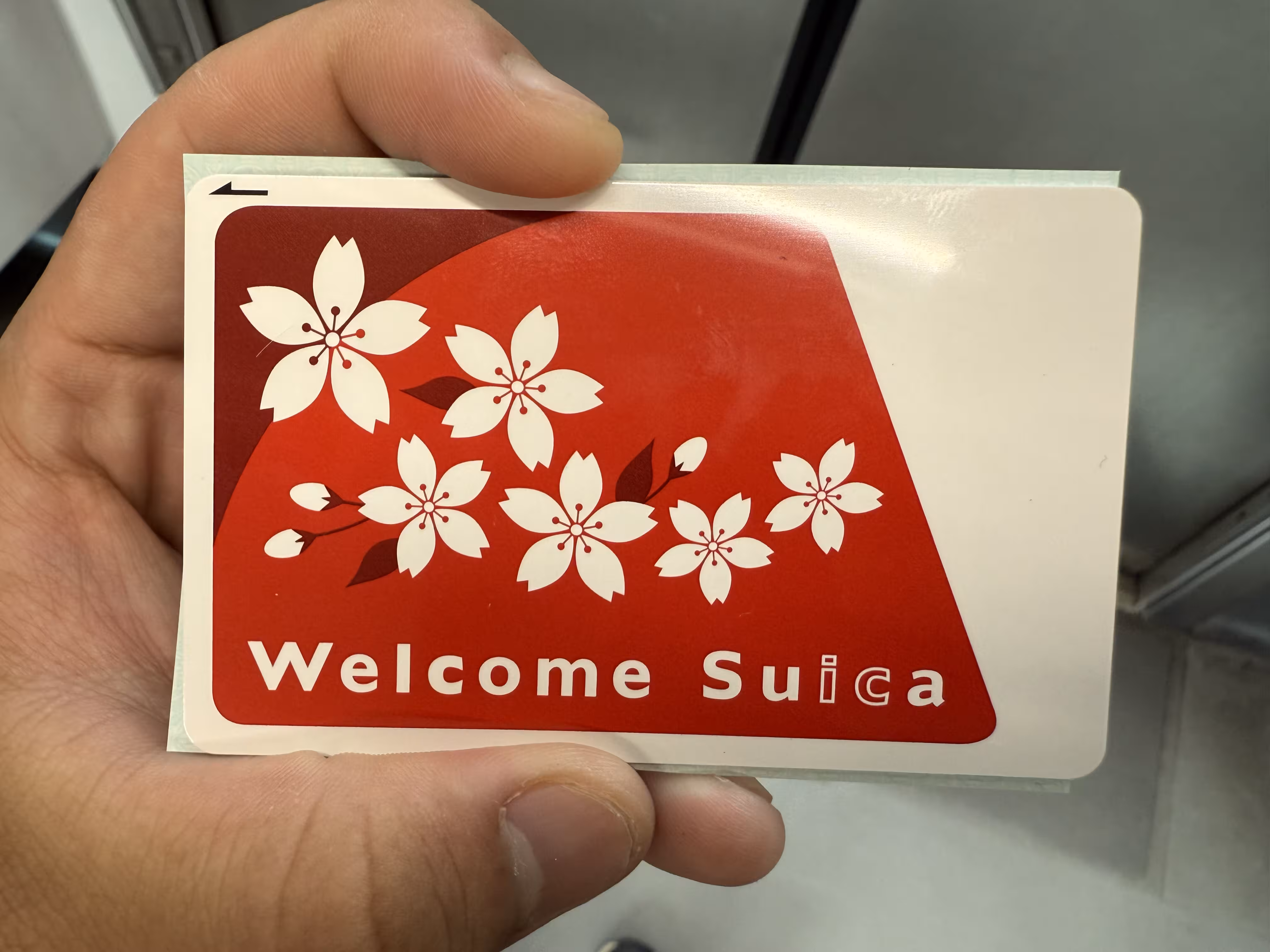 樱花 Suica 樱花 Suica